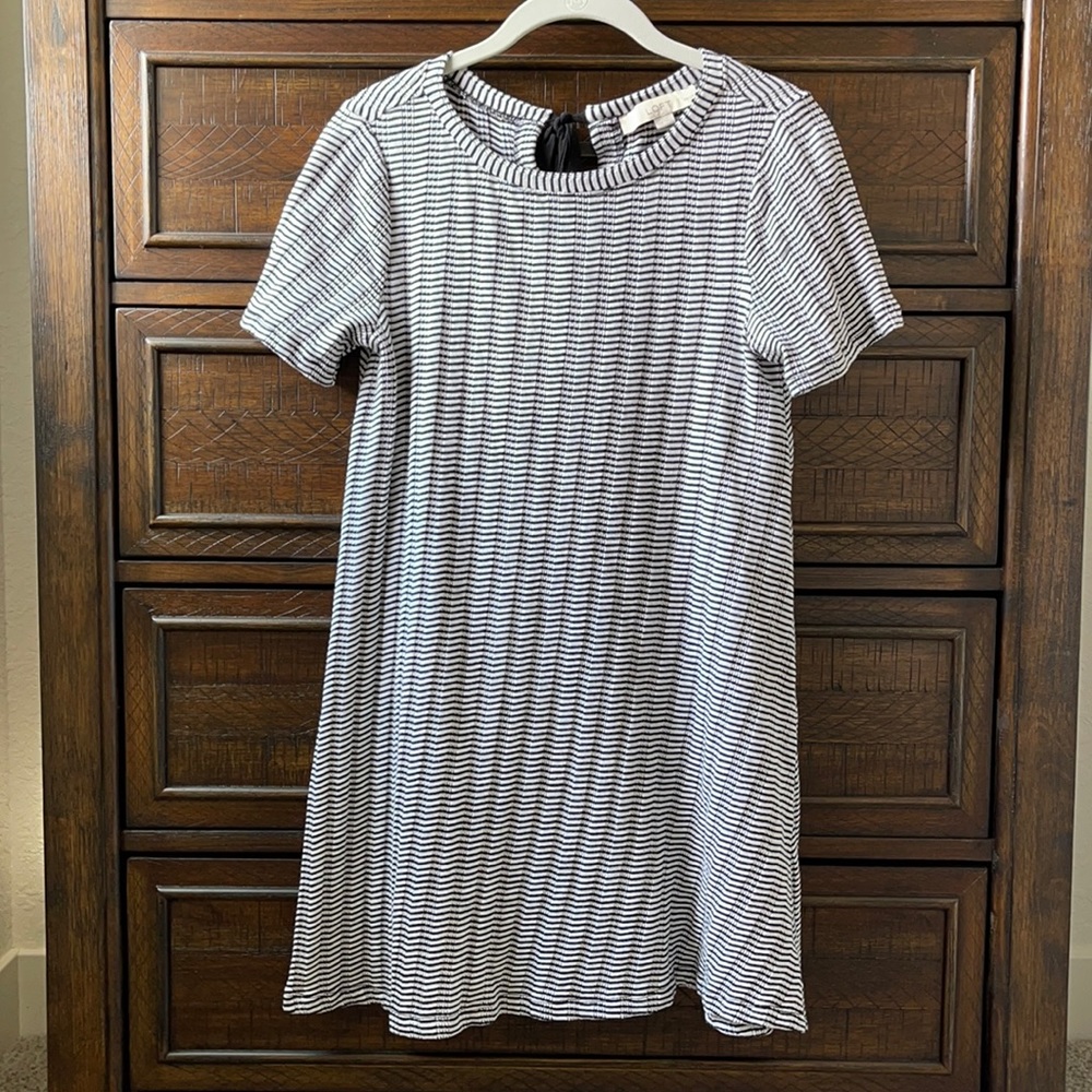 LOFT dress petite✨